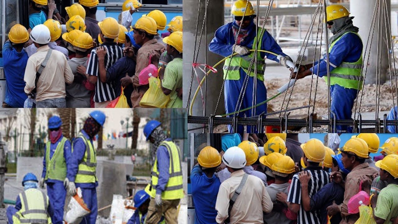 প্রবাসীর সন্তানদের বৃত্তি দিচ্ছে সরকার , আবেদন করবেন যেভাবে