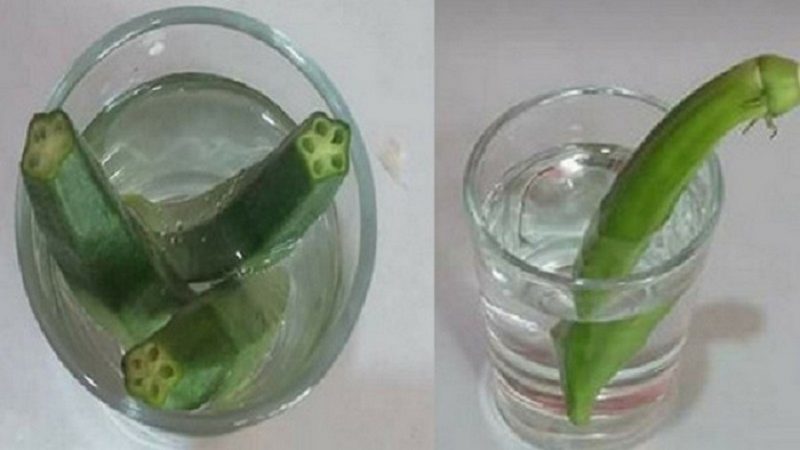 ডায়াবেটিস নিয়ন্ত্রণে আনবে ঢেঁড়শ !