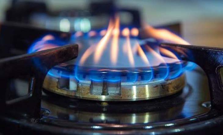 ভারত ৬ ডলারে গ্যস কিনলে আমরা ১০ ডলারে কিনব কেন ?