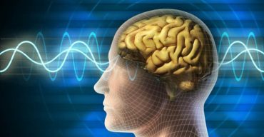 স্মৃতিশক্তি বাড়ানোর উপায়