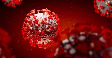 ১৫ জুলাইয়ের মধ্যে করোনামুক্ত হবে বাংলাদেশ!