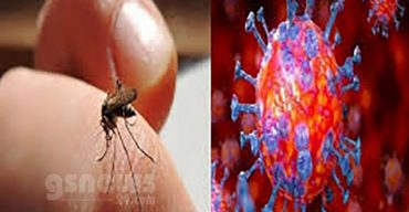 বাইরে করোনা, ঘরে মশা