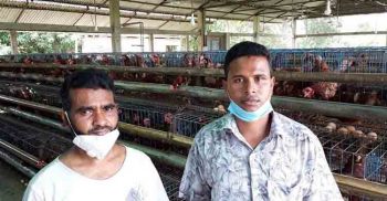 সোনাগাজীর নবাবপুরে পোল্ট্রি খামারে হামলা, থানায় মামলা