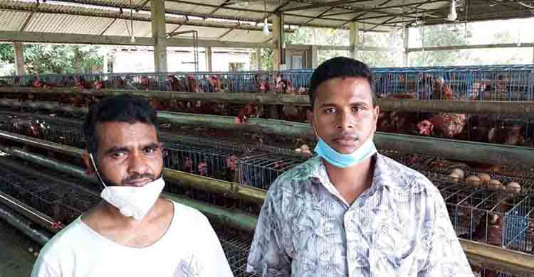 সোনাগাজীর নবাবপুরে পোল্ট্রি খামারে হামলা, থানায় মামলা